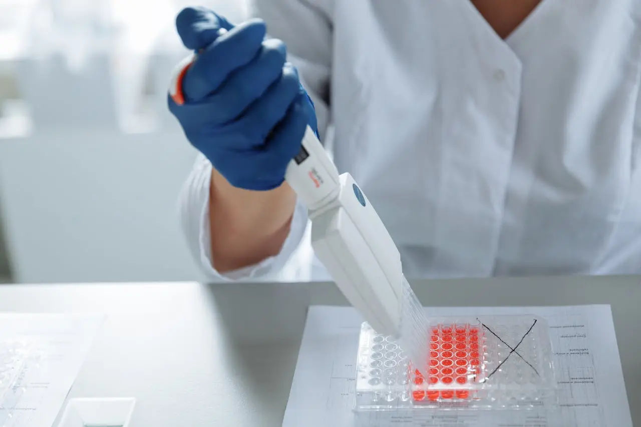 Stem Cell Quality