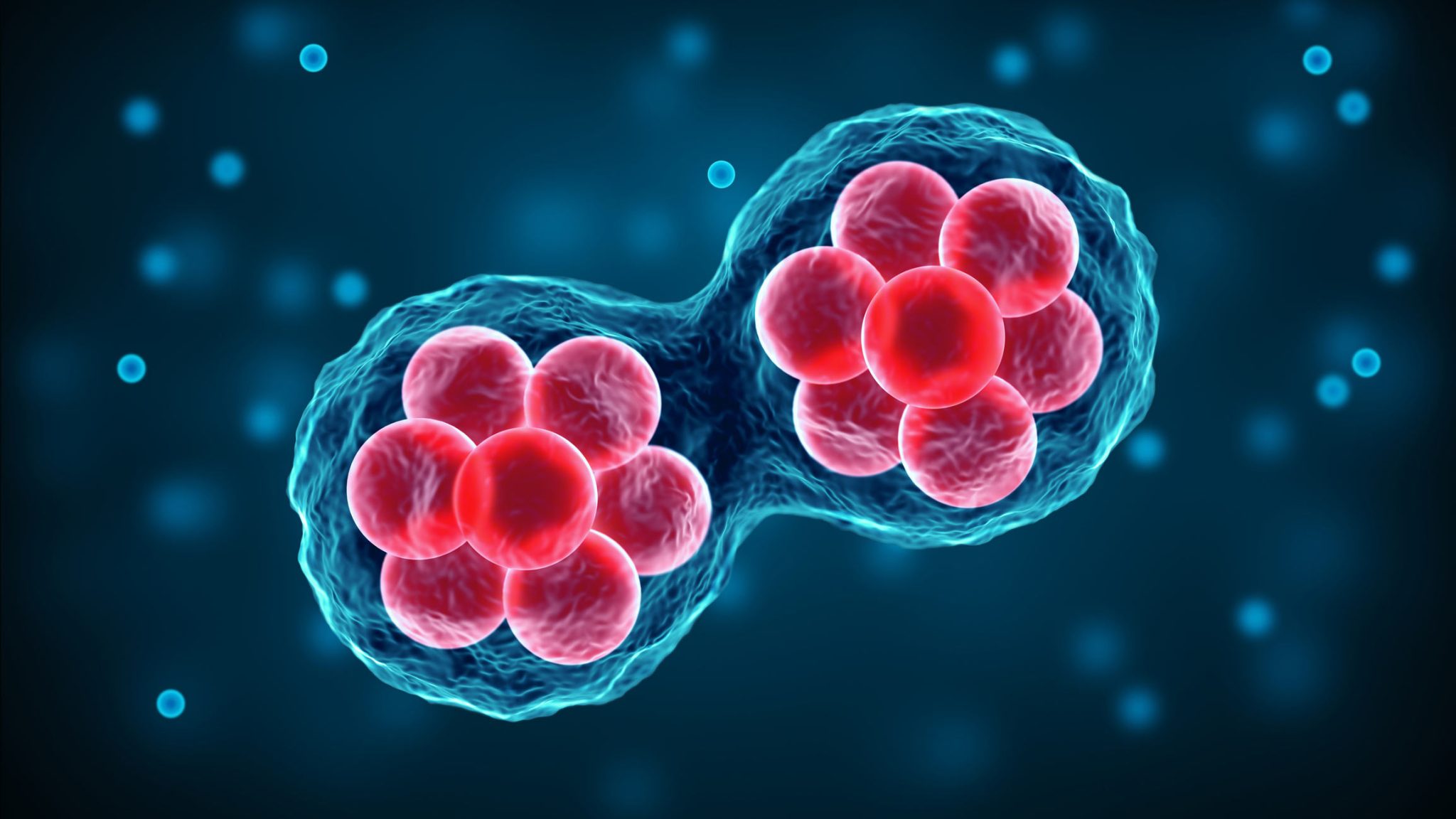 Joe Rogan's Stem Cell Treatments Why He Chooses Tijuana Clinic