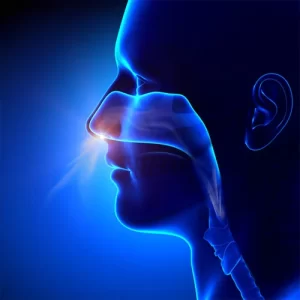 Visual representation of intranasal stem cell therapy in advanced treatment methods 