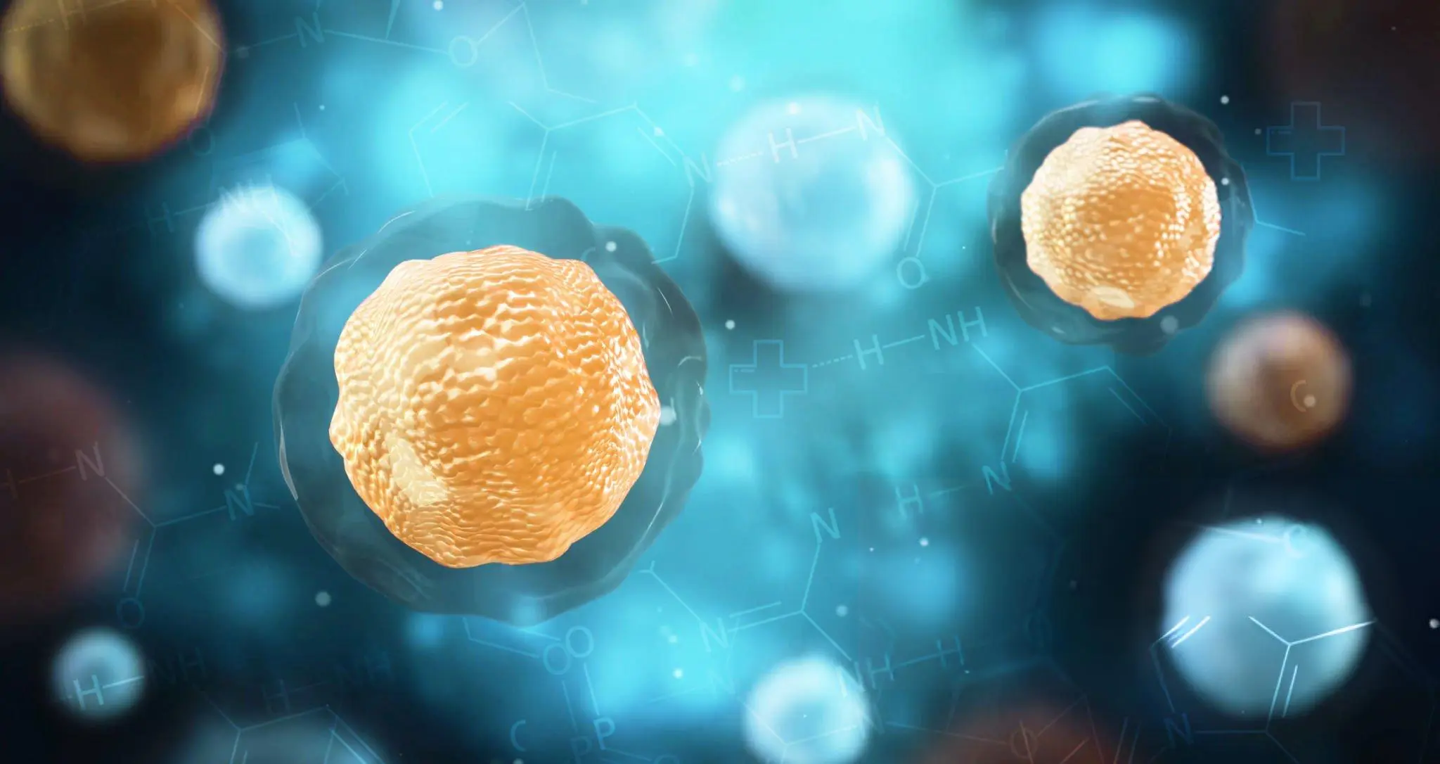 Digital illustration of stem cells and molecular structures—representing the regenerative potential of adipose-derived stem cells in therapy