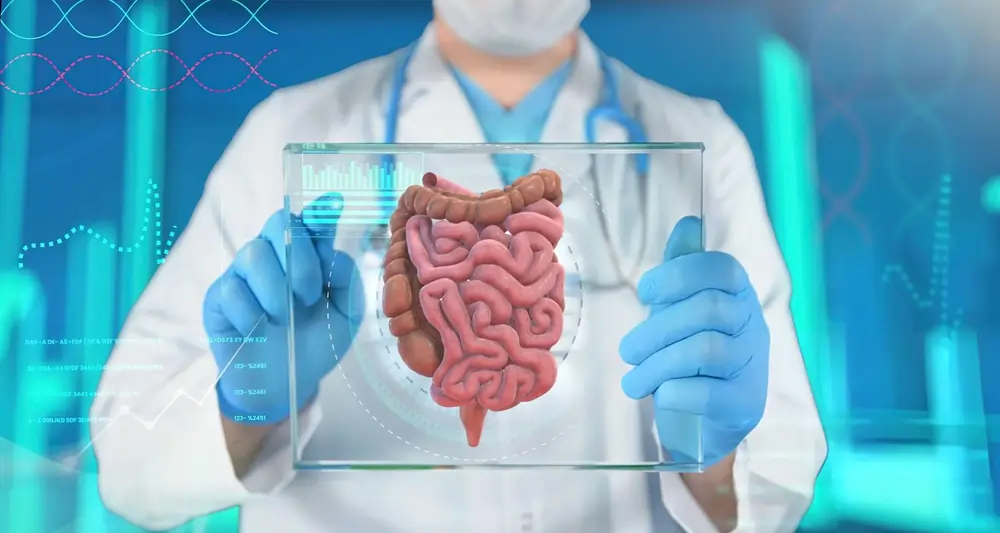 Doctor holding digital digestive system display—representing stem cell research for intestinal healing in celiac disease