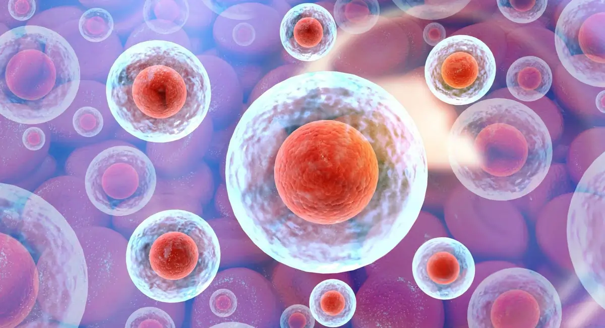 Digital illustration of biological cells—representing future potential of stem cell therapy to advance treatment options for celiac disease